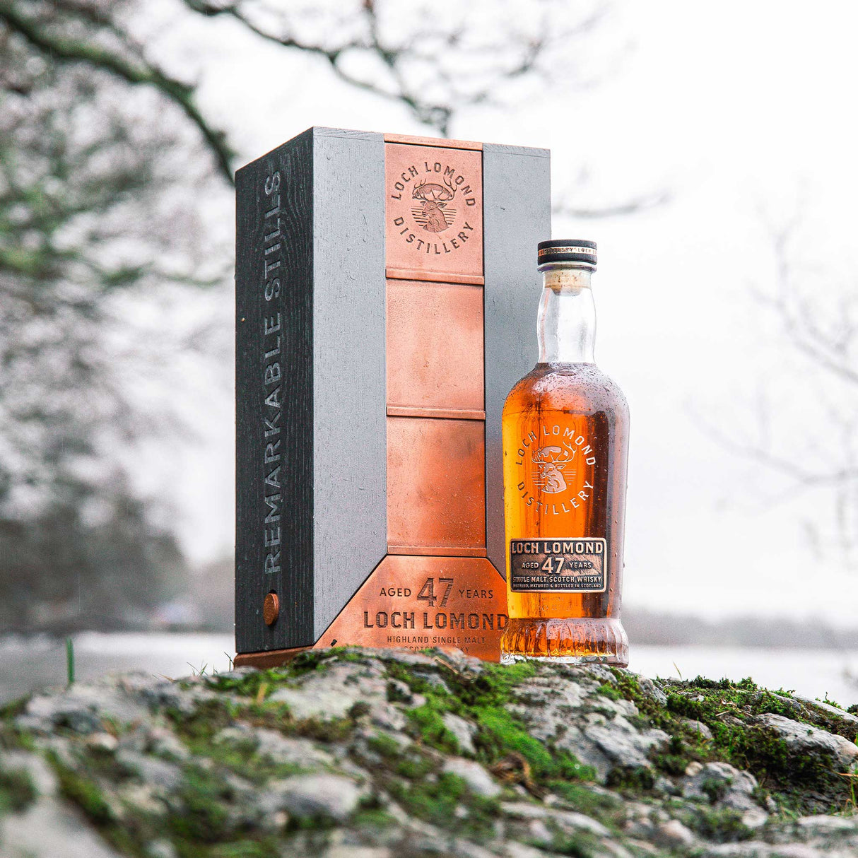 Loch Lomond 47 Year Single Malt Scotch Whiskey