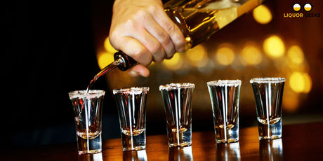 Blanco vs Reposado vs Anejo​ Tequila