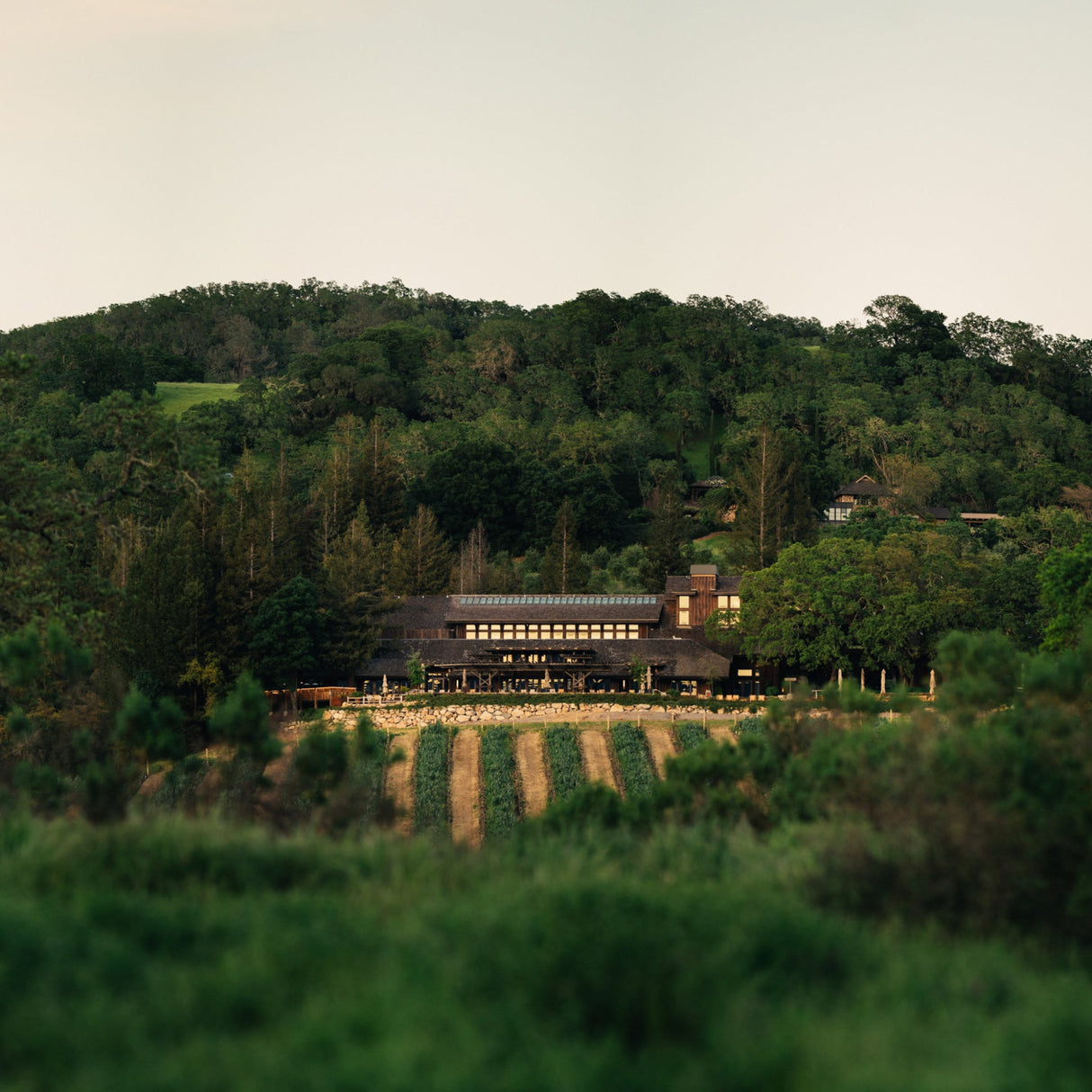 Joseph Phelps Insignia Napa Valley 2022