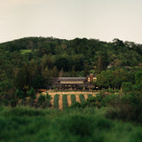 Joseph Phelps Insignia Napa Valley 2022