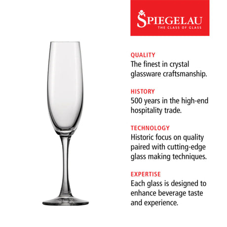 Wine Lovers Champagne Flute Glass, Set of 4-6