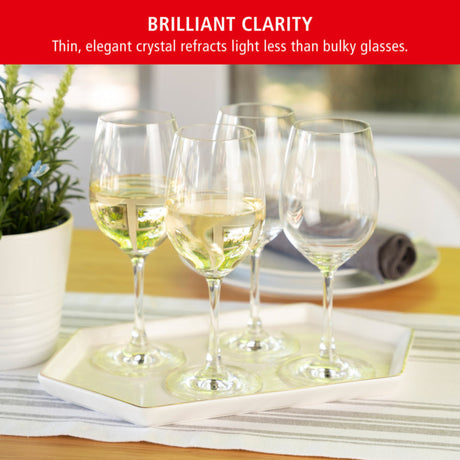 Wine Lovers White Wine Glass, Set of 4-4