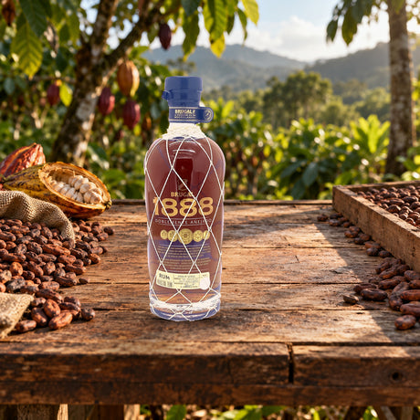 Brugal 1888 Ron Gran Reserva Rum cacao drying table - Liquor Geeks