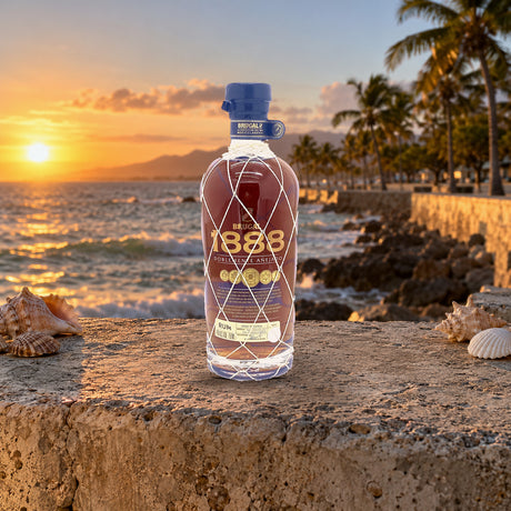 Brugal 1888 Ron Gran Reserva Rum malecon wall - Liquor Geeks