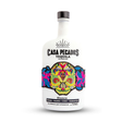 Casa Pecados Silver Tequilla 80pf - Liquor Geeks