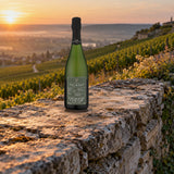 Telmont Champagne Extra Brut Lieux-Dits 2012 chalk wall sunrise - Liquor Geeks