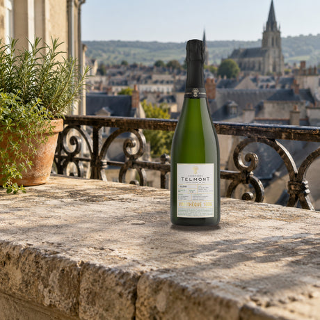Telmont Champagne Extra Brut Vinothèque 1996 epernay balcony - Liquor Geeks