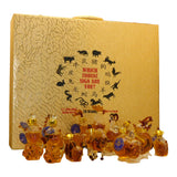 Napoleon Zodiac XO French Brandy Gift Set 12 x 100mL Set