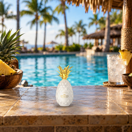 Pinaq Colada Liqueur swim up bar - Liquor Geeks